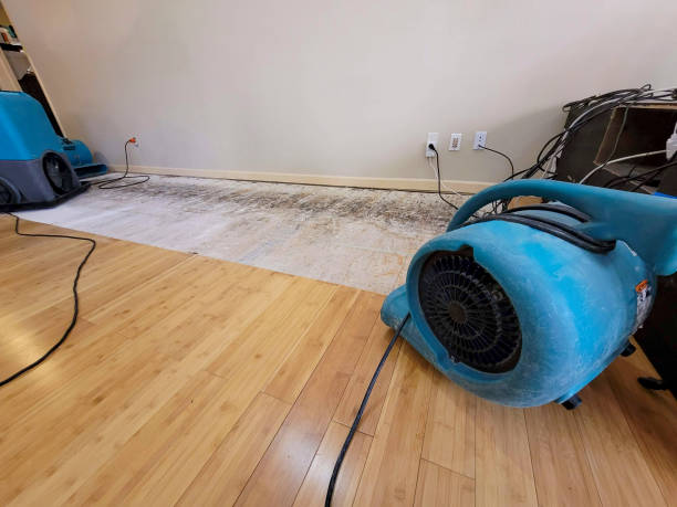 Professional Basement Flood Cleanup technician working in Newport, SC